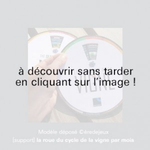 roue cycle de la vigne