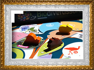 biodivertissons - èredejeux pour M2A